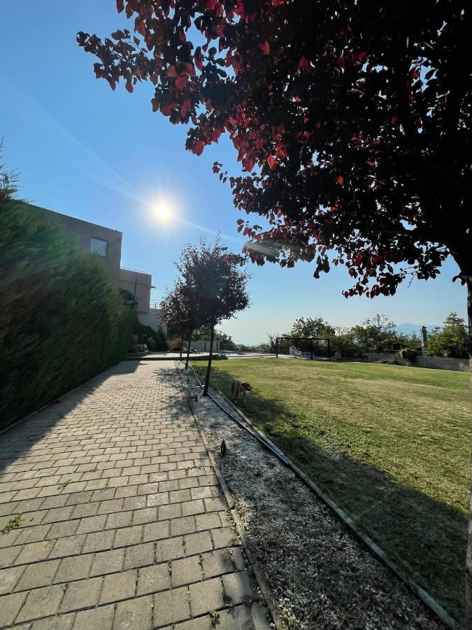 Villa Sunny Side Apartment Skopje Dolno Solnje Eksteriør bilde