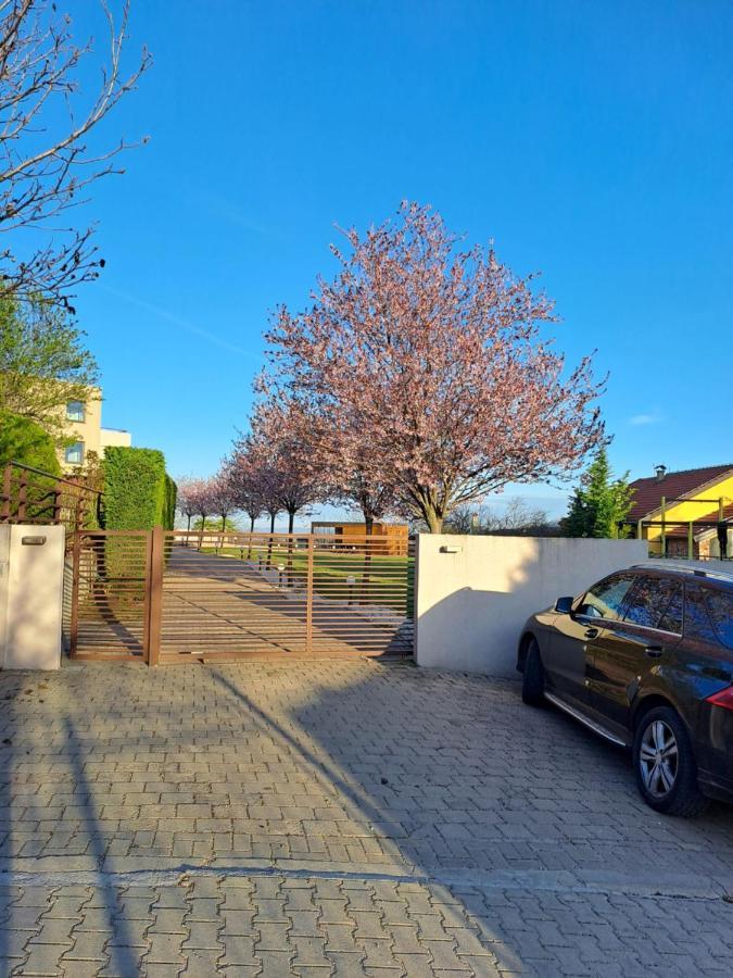 Villa Sunny Side Apartment Skopje Dolno Solnje Eksteriør bilde